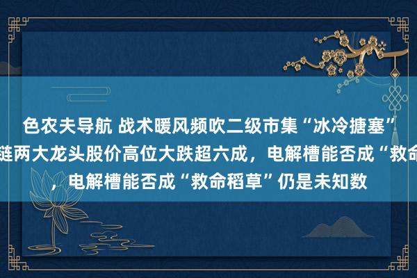 色农夫导航 战术暖风频吹二级市集“冰冷搪塞”！氢燃料电板产业链两大龙头股价高位大跌超六成，电解槽能否成“救命稻草”仍是未知数