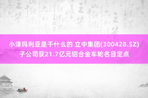 小泽玛利亚是干什么的 立中集团(300428.SZ)子公司获21.7亿元铝合金车轮名目定点