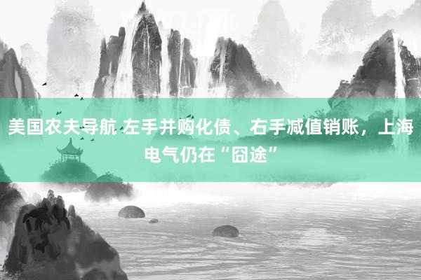 美国农夫导航 左手并购化债、右手减值销账，上海电气仍在“囧途”