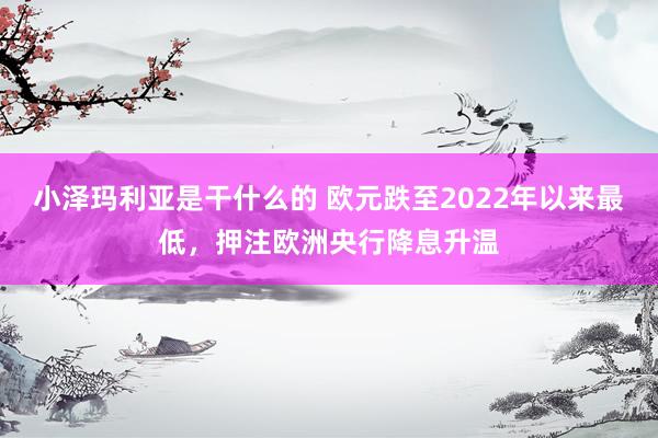 小泽玛利亚是干什么的 欧元跌至2022年以来最低，押注欧洲央行降息升温
