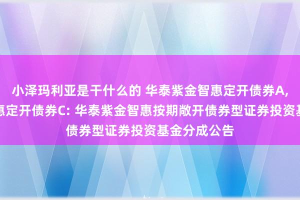 小泽玛利亚是干什么的 华泰紫金智惠定开债券A,华泰紫金智惠定开债券C: 华泰紫金智惠按期敞开债券型证券投资基金分成公告