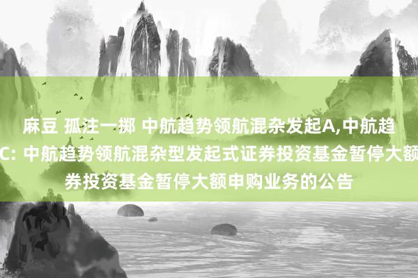 麻豆 孤注一掷 中航趋势领航混杂发起A,中航趋势领航混杂发起C: 中航趋势领航混杂型发起式证券投资基金暂停大额申购业务的公告
