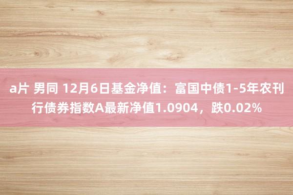 a片 男同 12月6日基金净值：富国中债1-5年农刊行债券指数A最新净值1.0904，跌0.02%