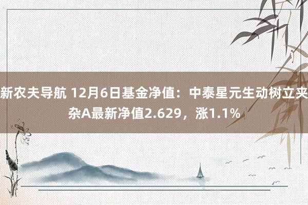 新农夫导航 12月6日基金净值：中泰星元生动树立夹杂A最新净值2.629，涨1.1%