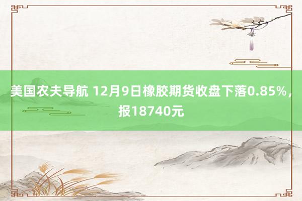 美国农夫导航 12月9日橡胶期货收盘下落0.85%，报18740元