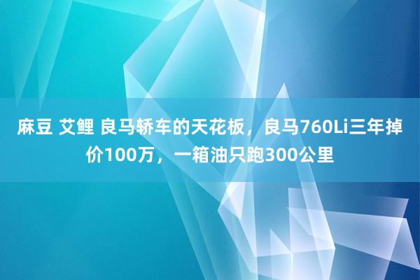 麻豆 艾鲤 良马轿车的天花板，良马760Li三年掉价100万，一箱油只跑300公里