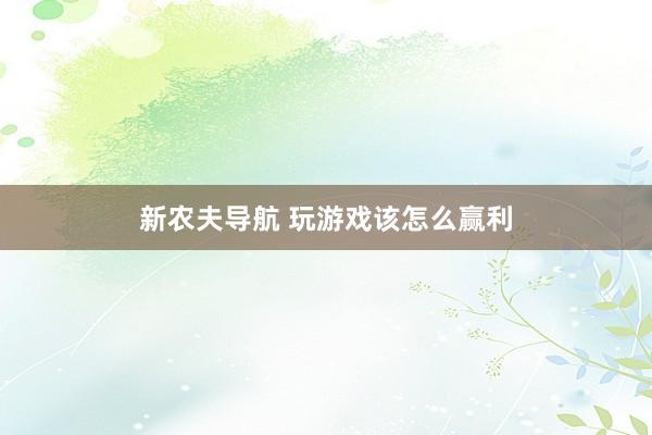 新农夫导航 玩游戏该怎么赢利