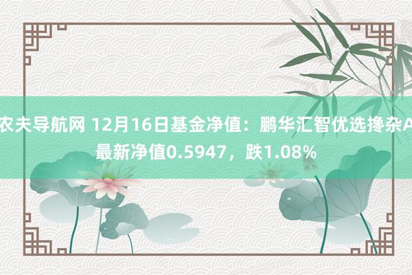 农夫导航网 12月16日基金净值：鹏华汇智优选搀杂A最新净值0.5947，跌1.08%