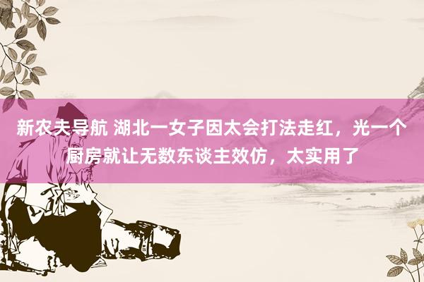 新农夫导航 湖北一女子因太会打法走红，光一个厨房就让无数东谈主效仿，太实用了