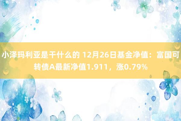 小泽玛利亚是干什么的 12月26日基金净值：富国可转债A最新净值1.911，涨0.79%