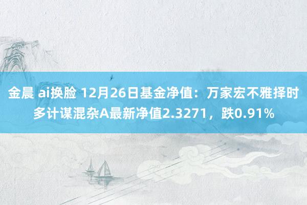 金晨 ai换脸 12月26日基金净值：万家宏不雅择时多计谋混杂A最新净值2.3271，跌0.91%