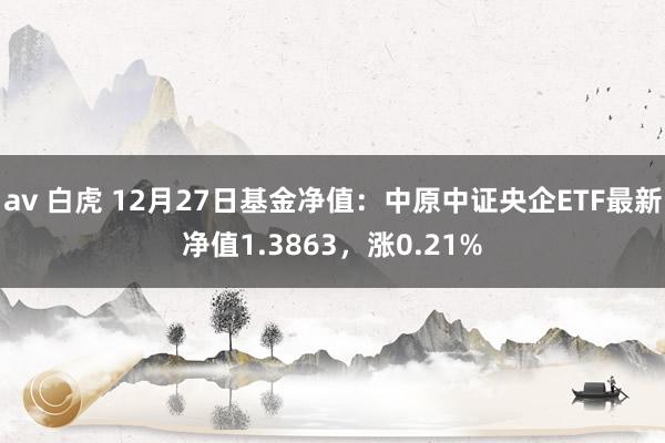 av 白虎 12月27日基金净值：中原中证央企ETF最新净值1.3863，涨0.21%