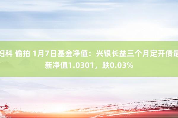 妇科 偷拍 1月7日基金净值：兴银长益三个月定开债最新净值1.0301，跌0.03%