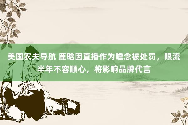 美国农夫导航 鹿晗因直播作为瞻念被处罚，限流半年不容顺心，将影响品牌代言