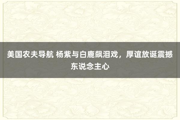 美国农夫导航 杨紫与白鹿飙泪戏，厚谊放诞震撼东说念主心