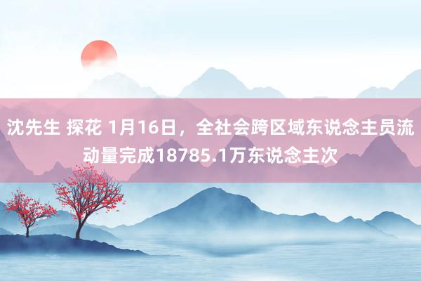沈先生 探花 1月16日，全社会跨区域东说念主员流动量完成18785.1万东说念主次