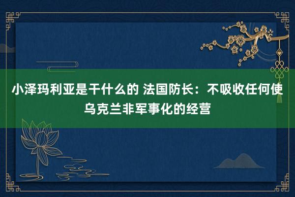 小泽玛利亚是干什么的 法国防长：不吸收任何使乌克兰非军事化的经营