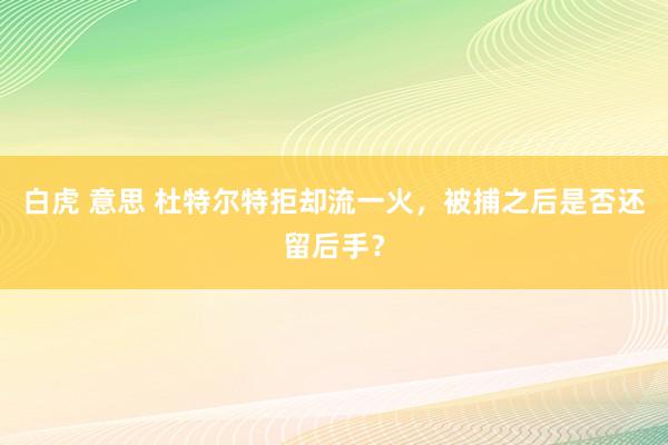 白虎 意思 杜特尔特拒却流一火，被捕之后是否还留后手？