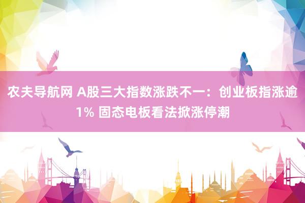 农夫导航网 A股三大指数涨跌不一：创业板指涨逾1% 固态电板看法掀涨停潮