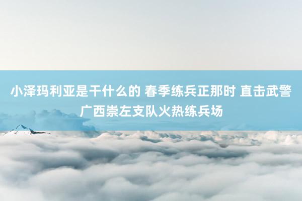 小泽玛利亚是干什么的 春季练兵正那时 直击武警广西崇左支队火热练兵场