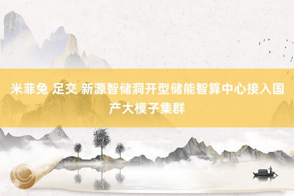 米菲兔 足交 新源智储洞开型储能智算中心接入国产大模子集群