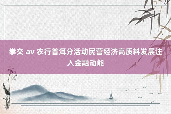 拳交 av 农行普洱分活动民营经济高质料发展注入金融动能