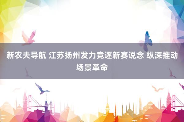 新农夫导航 江苏扬州发力竞逐新赛说念 纵深推动场景革命