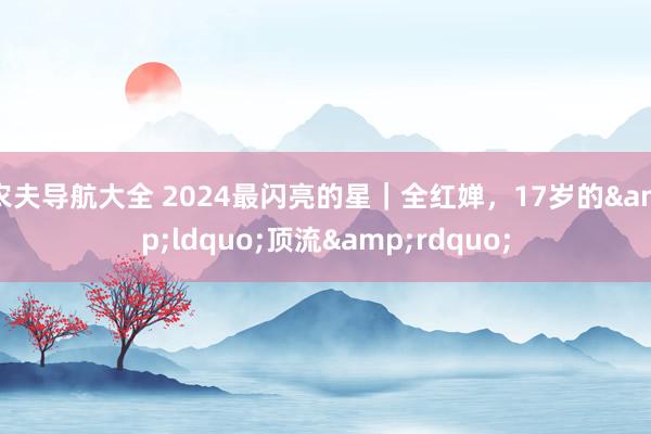 农夫导航大全 2024最闪亮的星｜全红婵，17岁的&ldquo;顶流&rdquo;