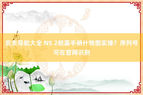 农夫导航大全 NS 2袒露手柄什物图实锤？序列号可在官网识别