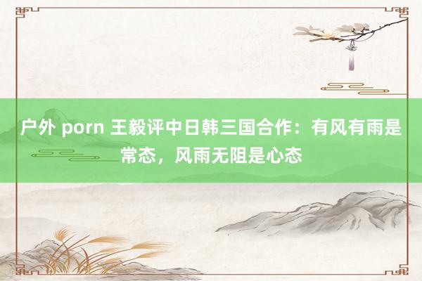 户外 porn 王毅评中日韩三国合作：有风有雨是常态，风雨无阻是心态