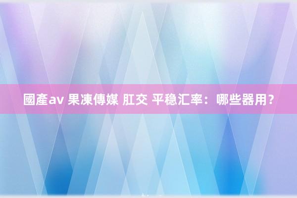 國產av 果凍傳媒 肛交 平稳汇率：哪些器用？