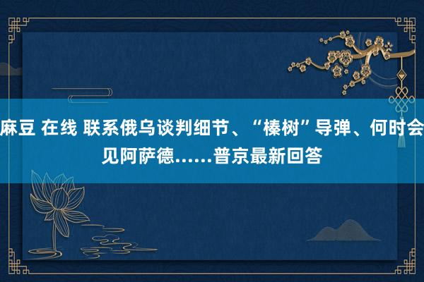 麻豆 在线 联系俄乌谈判细节、“榛树”导弹、何时会见阿萨德......普京最新回答