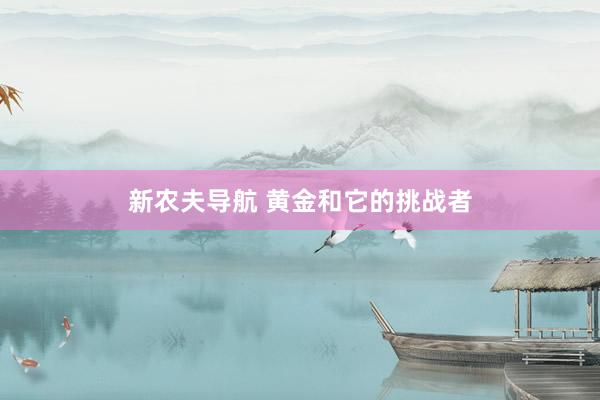 新农夫导航 黄金和它的挑战者