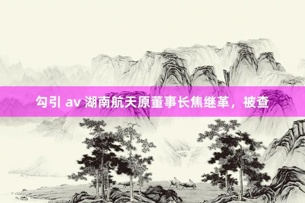 勾引 av 湖南航天原董事长焦继革，被查