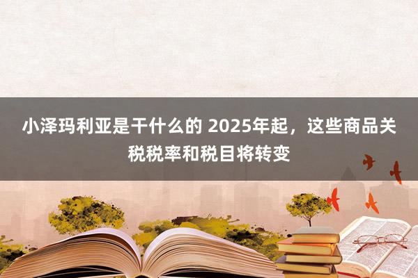 小泽玛利亚是干什么的 2025年起，这些商品关税税率和税目将转变