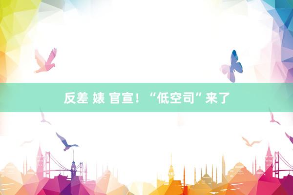 反差 婊 官宣！“低空司”来了
