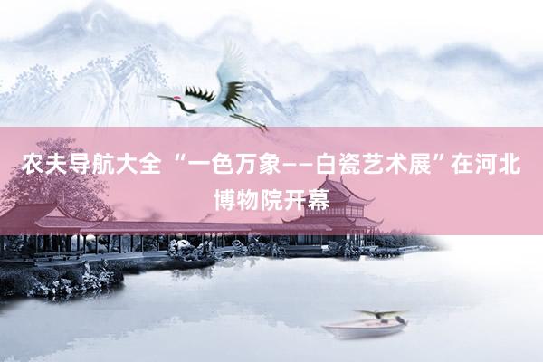 农夫导航大全 “一色万象——白瓷艺术展”在河北博物院开幕