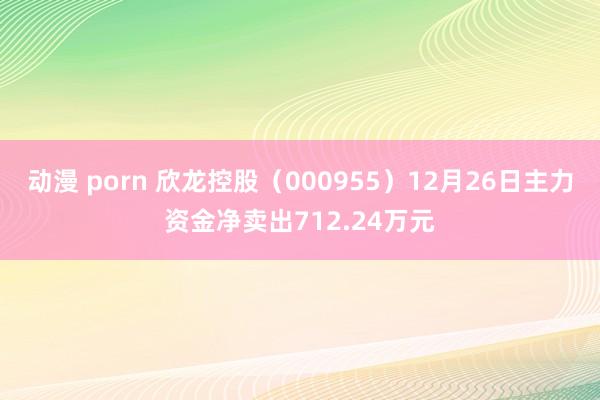 动漫 porn 欣龙控股（000955）12月26日主力资金净卖出712.24万元