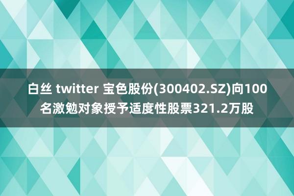 白丝 twitter 宝色股份(300402.SZ)向100名激勉对象授予适度性股票321.2万股