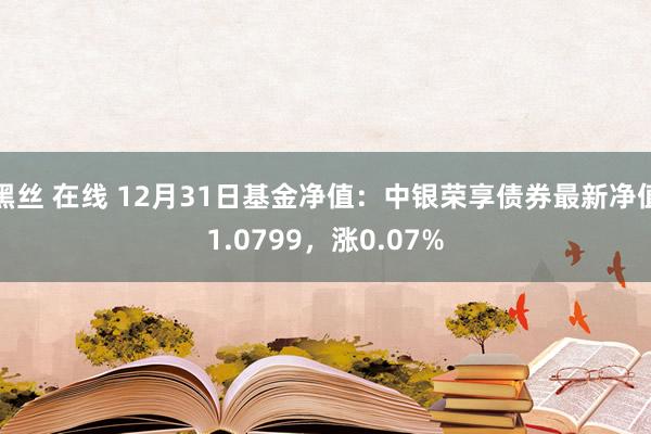黑丝 在线 12月31日基金净值：中银荣享债券最新净值1.0799，涨0.07%