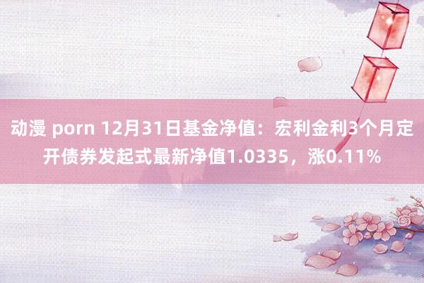 动漫 porn 12月31日基金净值：宏利金利3个月定开债券发起式最新净值1.0335，涨0.11%