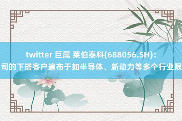 twitter 巨屌 莱伯泰科(688056.SH)：公司的下搭客户遍布于如半导体、新动力等多个行业限制