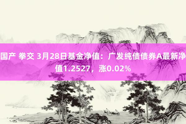 国产 拳交 3月28日基金净值：广发纯债债券A最新净值1.2527，涨0.02%