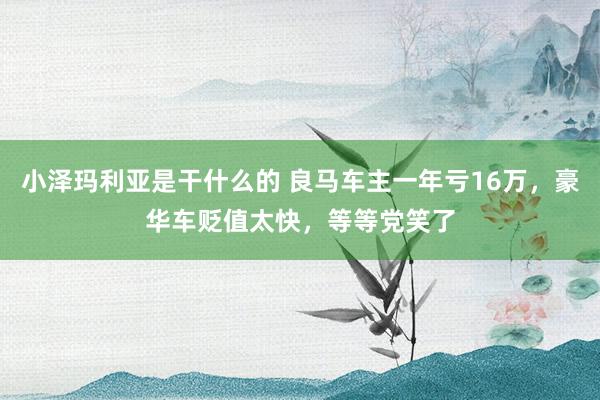 小泽玛利亚是干什么的 良马车主一年亏16万，豪华车贬值太快，等等党笑了