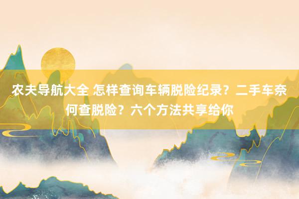 农夫导航大全 怎样查询车辆脱险纪录？二手车奈何查脱险？六个方法共享给你
