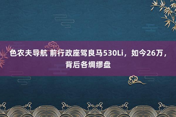 色农夫导航 前行政座驾良马530Li，如今26万，背后各绸缪盘