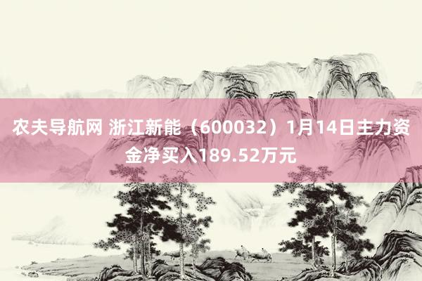 农夫导航网 浙江新能（600032）1月14日主力资金净买入189.52万元