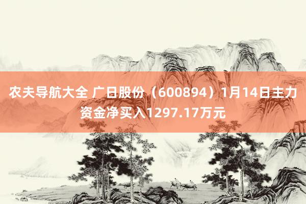 农夫导航大全 广日股份（600894）1月14日主力资金净买入1297.17万元