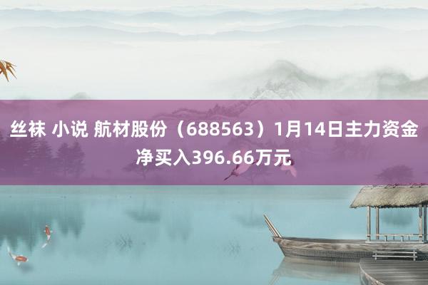 丝袜 小说 航材股份（688563）1月14日主力资金净买入396.66万元