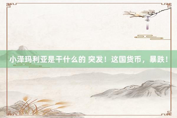 小泽玛利亚是干什么的 突发！这国货币，暴跌！